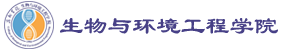 英国365集团